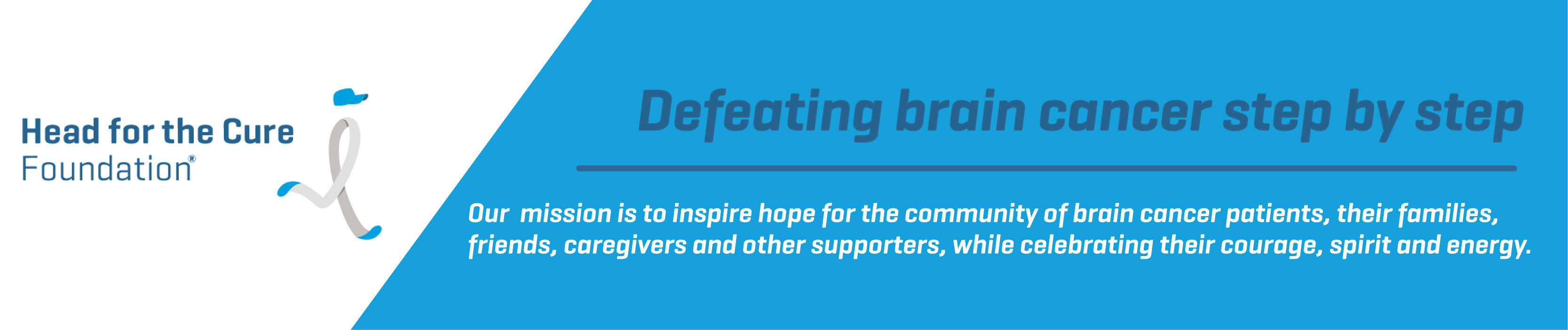 Head for the Cure Foundation: Defeating Brain Cancer Step By Step